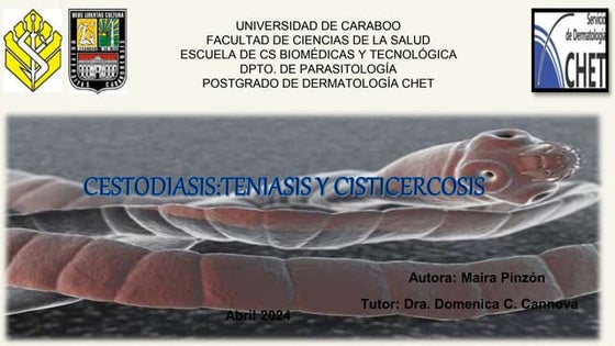 Maira205378 presentations
