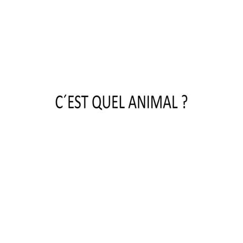 C´est quel animal