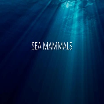 Order - Cetaceae, wildlife Biology 