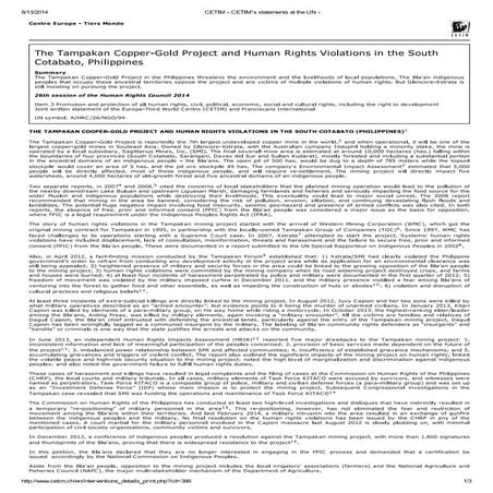 Cetim   cetim's statements at the un