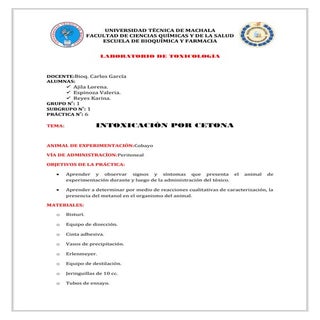 Intoxicación por Cetona