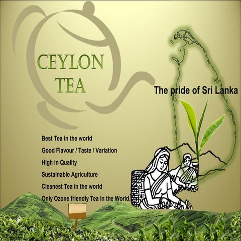 Ceylon tea | PPT