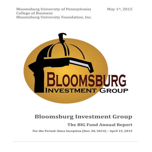 The BIG Fund Annual Report 2014-15