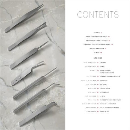 StoneSlide Corrective