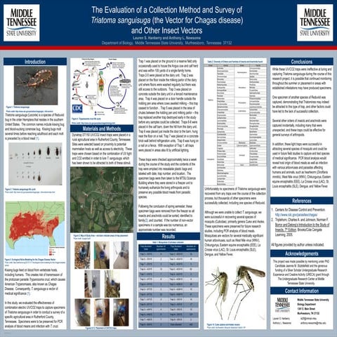 T. sanguisuga Chagas poster