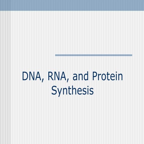 5 DNA RNA Protein Synthesis
