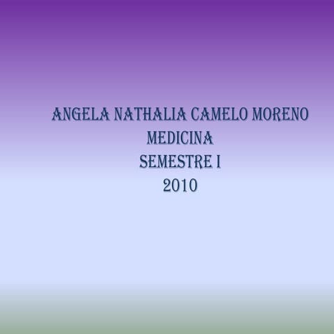 C:\fakepath\angela nathalia camelo moreno