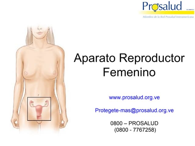 Aparato reproductor femenino