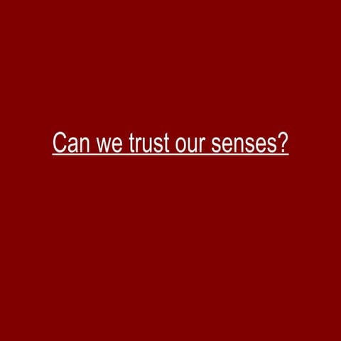 TOK Sense Perception Presentation | PPT