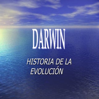darwin