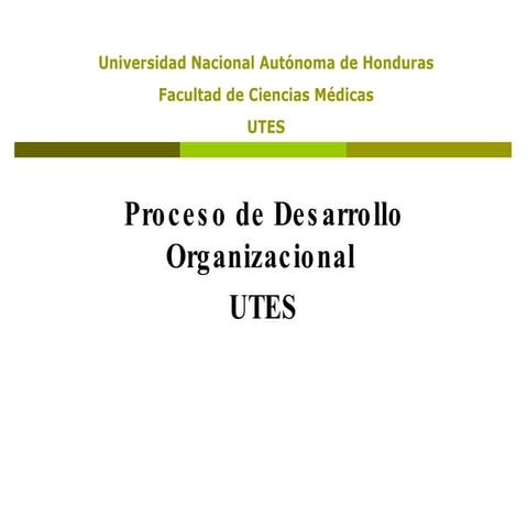 Desarrollo Organizacional De La   Utes ComisióN Chiquita Ii