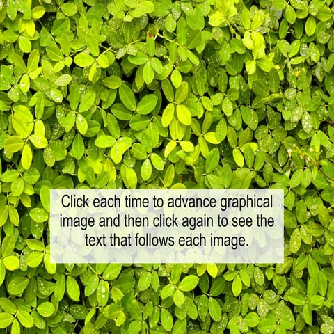 Evolucion de Conciencia