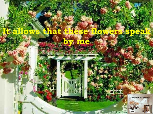 It allow that these flowers speak b...