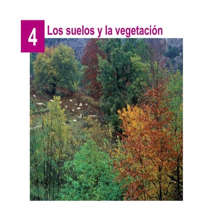 GEO2BACH Biogeografía