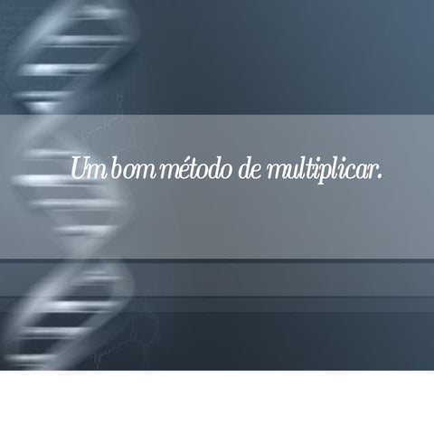 Multiplicação - Um bom método