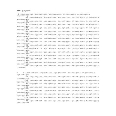 C:\Fakepath\Nucleotide A H1 N1