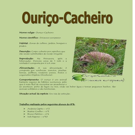 Ouriço Cacheiro (CNA) | DOCX
