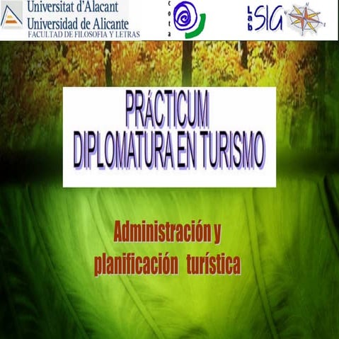 Practicum Turismo 2009