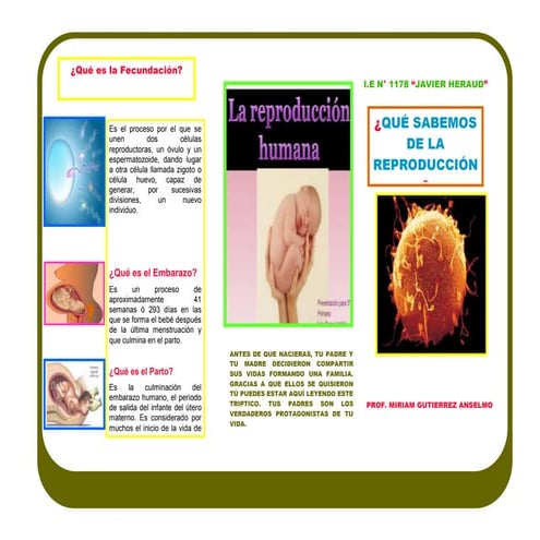 C:\fakepath\reproducción humana