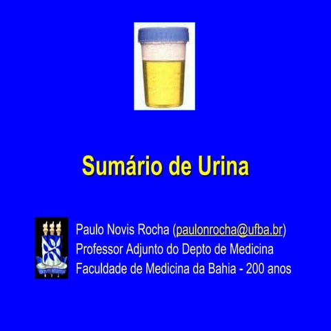 Sumário de Urina