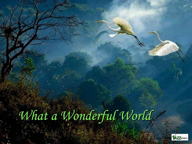 What a Wonderful World - beautiful ...