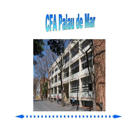Cfa palu de mar