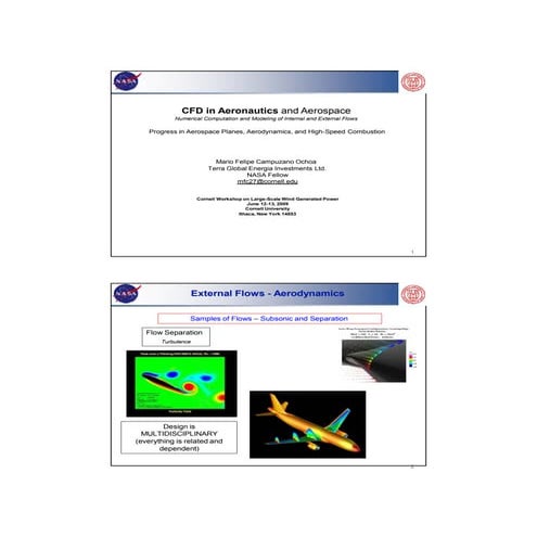CFD Cornell Energy Workshop - M.F. Campuzano Ochoa