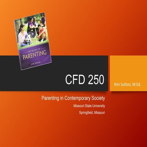 Cfd 250 chapter 3