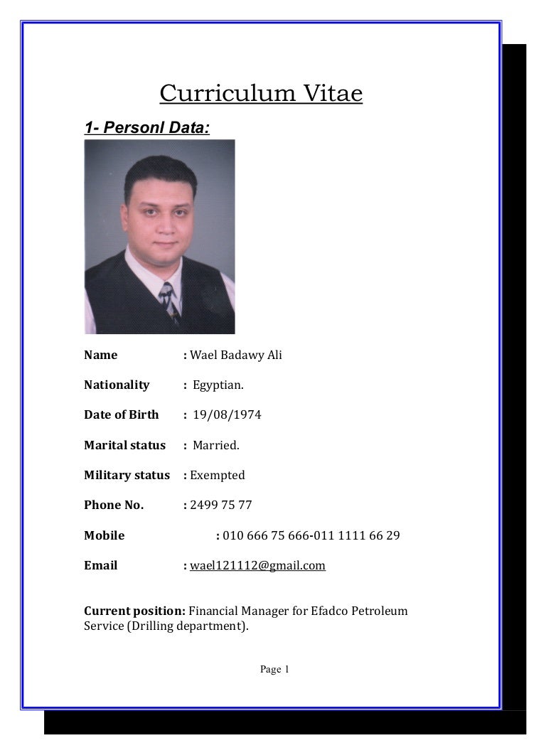 Wael C V Final Docx