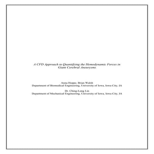 3D CFD simulation of intracranial aneurysm
