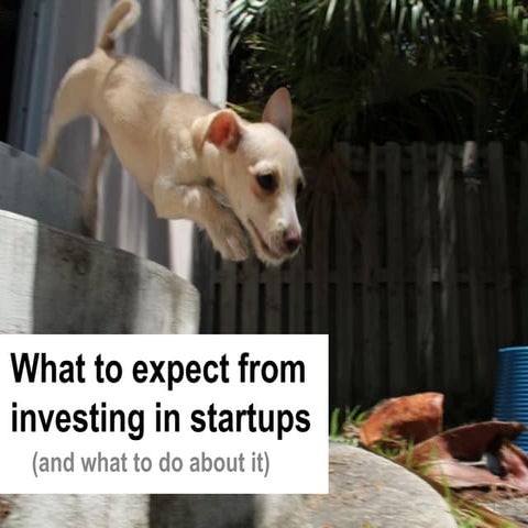 What to expect from investing in startups