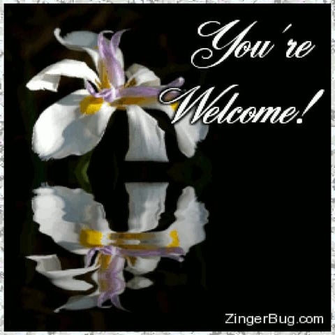 Ppt.  types of quantitative research