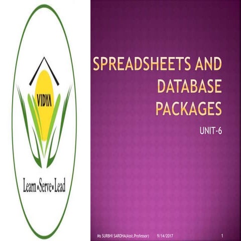 Spreadsheets and Database Packages