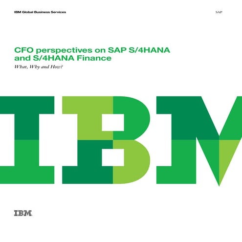 CFO Perspectives on SAP S/4HANA