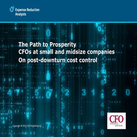 CFO Whitepaper   The Path To Prosperity