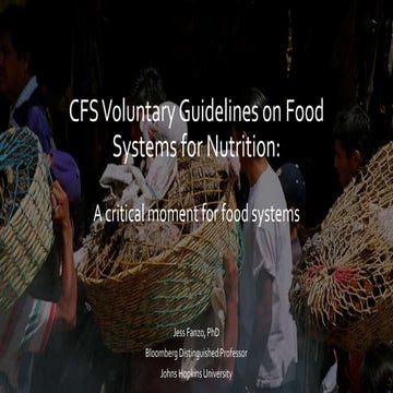 CFS Voluntary Guidelines on Food Systems for Nutrition