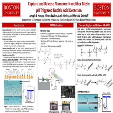 Capture and Release Nanopore-Nanofiber Mesh: pH Triggered Nucleic Acid Detection