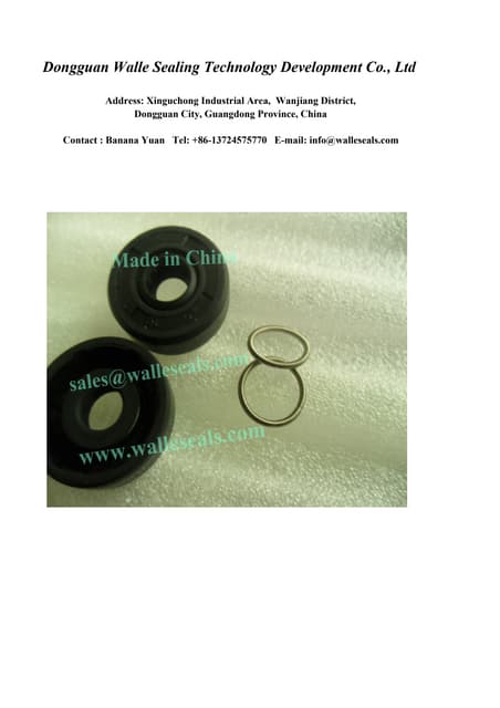 Piston seal series | PDF