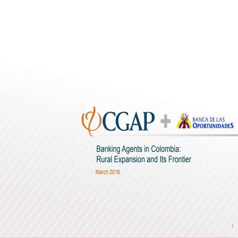Banking Agents in Colombia: Rural Expansion and Its Frontier