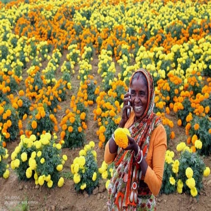 CGAP 2015 Photo Contest