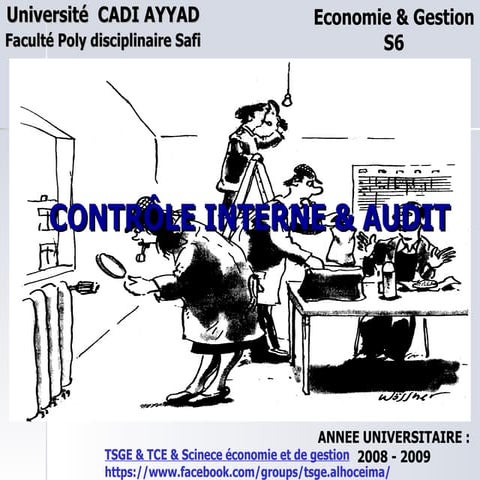 Cgaudit2009 111017194600-phpapp02