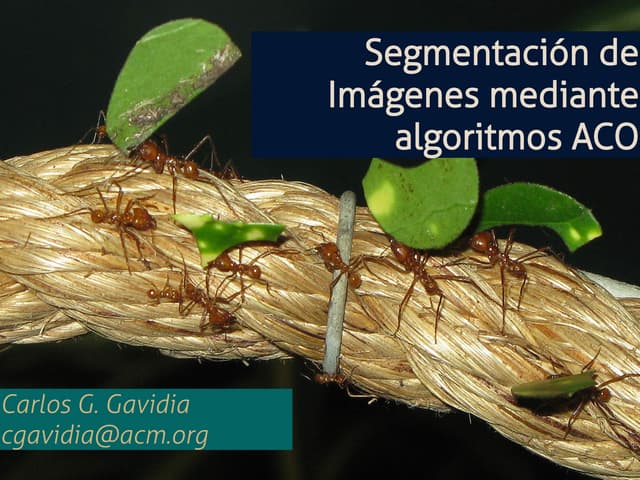 Segmentación de imágenes mediante algoritmos ACO