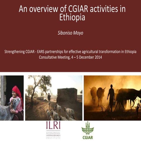 An overview of CGIAR activities in Ethiopia