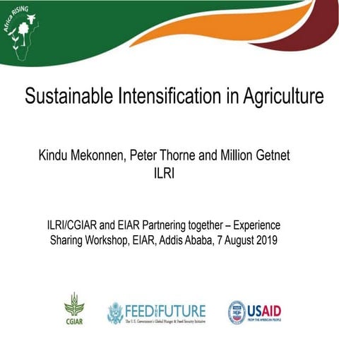 Sustainable intensification in agriculture