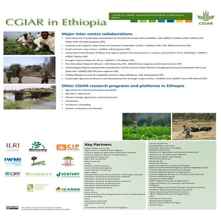 CGIAR in Ethiopia