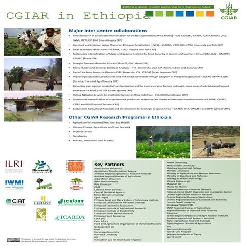 CGIAR in Ethiopia  