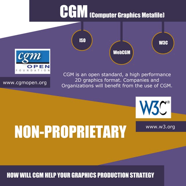 CGM Graphics Metafile) Infographic PDF
