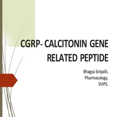 Cgrp calcitoningenerelatedpeptide