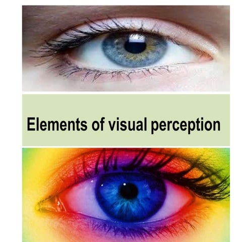 ch-1.2 elements of visualperception.pptx