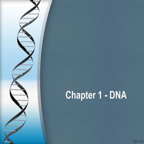 ch-1.1.ppt biology DNA Highschool science